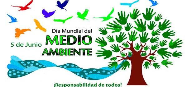 medio-ambiente-logo