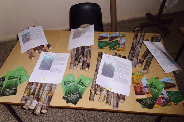 INICIA FERIA EMPRESARIAL AZCUBA EN EL ENTORNO AVILEÑO
