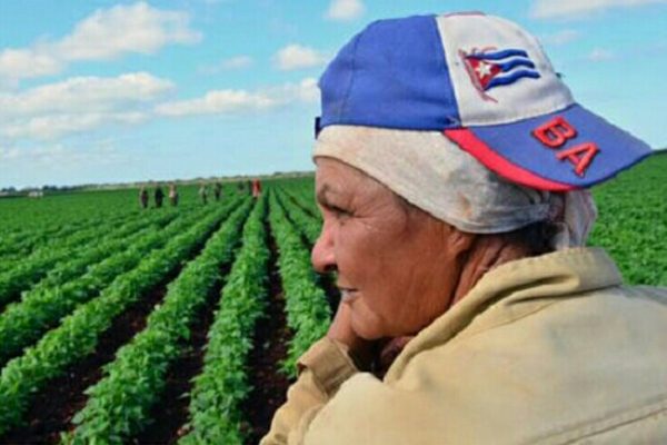 Día Internacional de la Mujer Rural: resiliencia en tiempos de crisis