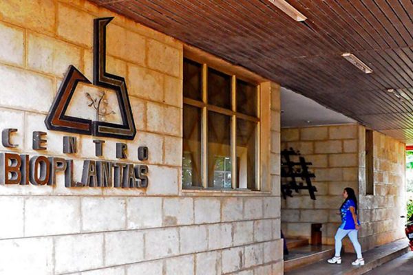 Ciego de Ávila: entregan premios a la ciencia e innovación