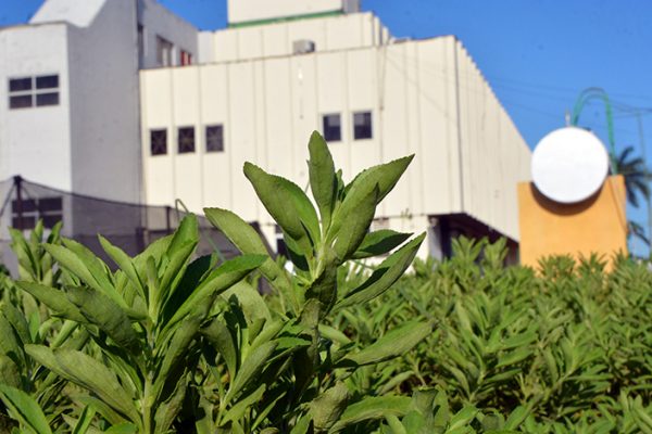 Nueva interfaz de ciencia con aporte de universidad avileña